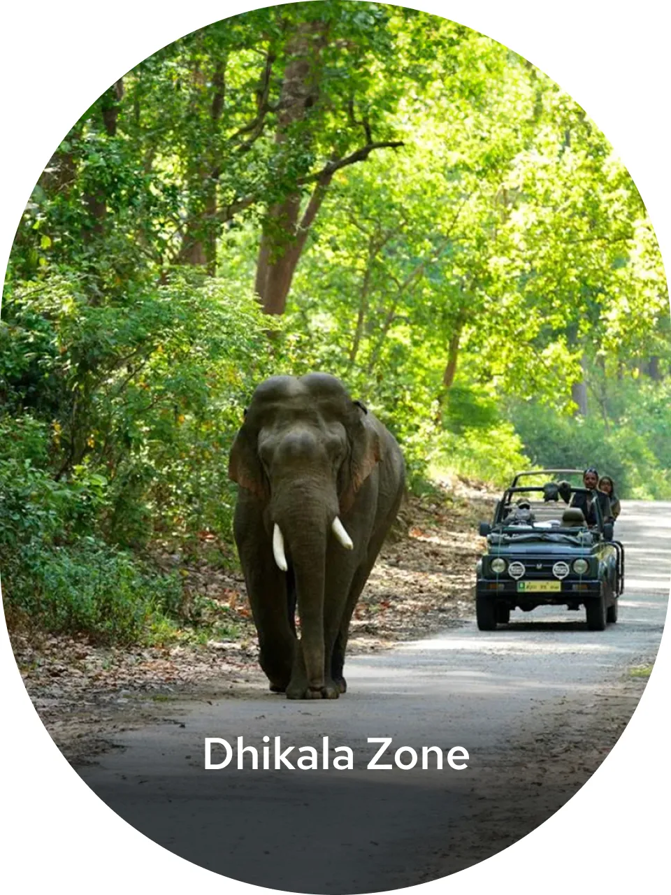 Delhi to dhikala Zone