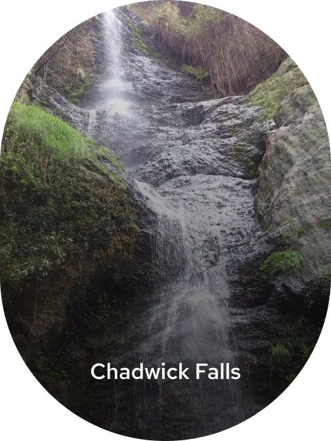 chadwick falls.png