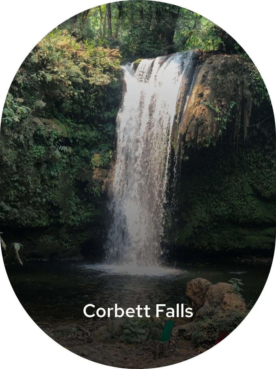 corbett fals