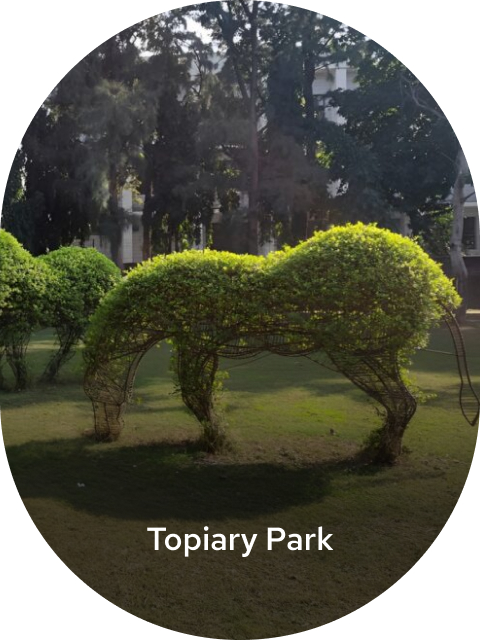 topiary-park