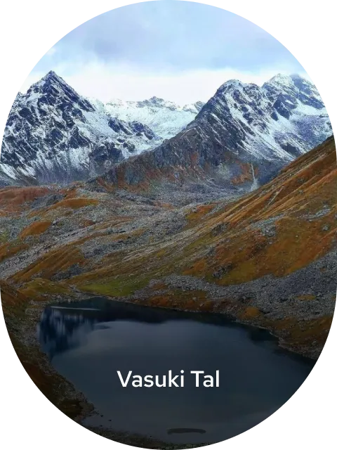 vasuki-tal.png